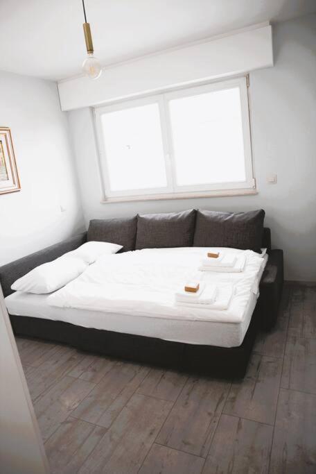 Charming Modern 2 Bedroom Apartment Alzingen Extérieur photo